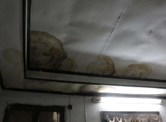 ppr水管漏水怎么辦?告訴你最有效正確的解決方式 ppr水管漏水怎么辦?告訴你最有效正確的解決方式