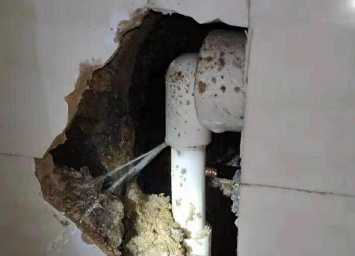 公元水管漏水包賠嗎？選購(gòu)時(shí)別光看牌子！還得看它！